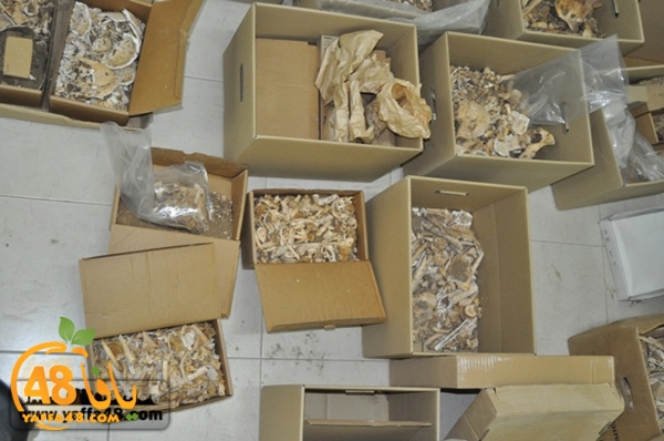 maqbara qeshleah (11).jpg